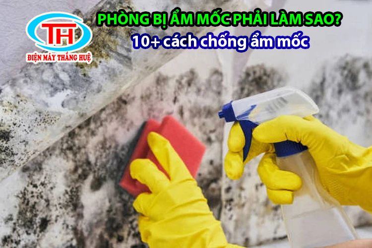 Phòng bị ẩm mốc phải làm sao? 10+ cách chống ẩm mốc