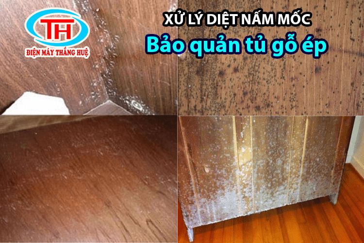 Top 10 cách xử lý, diệt nấm mốc và bảo quản tủ gỗ ép