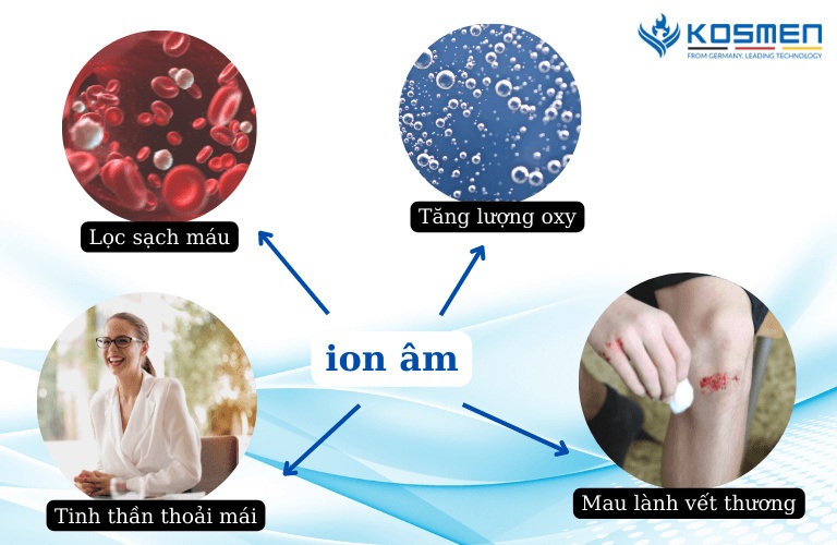 ion-am-co-tac-dung-voi-he-huyet-dich