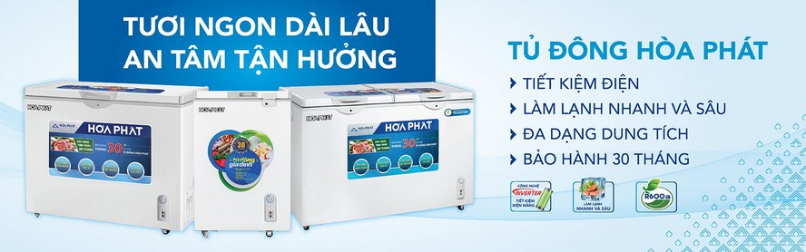 Tủ đông Hòa Phát 245 lít HCF-606S2Đ2