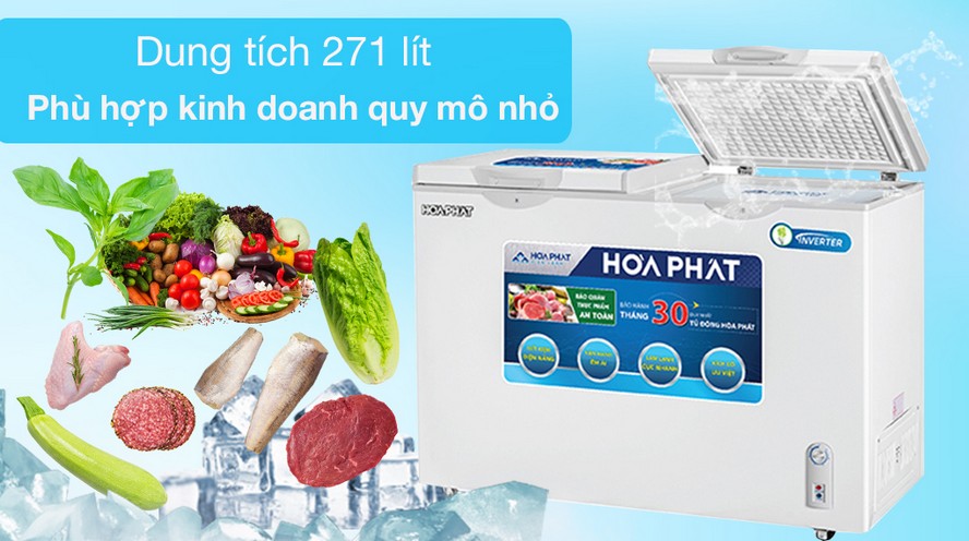 Tủ đông Hòa Phát 271 lít HCF-656S2Đ2